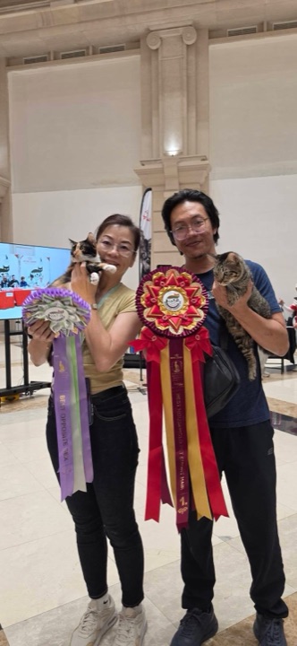 Two winning cats with WCF rosettes
