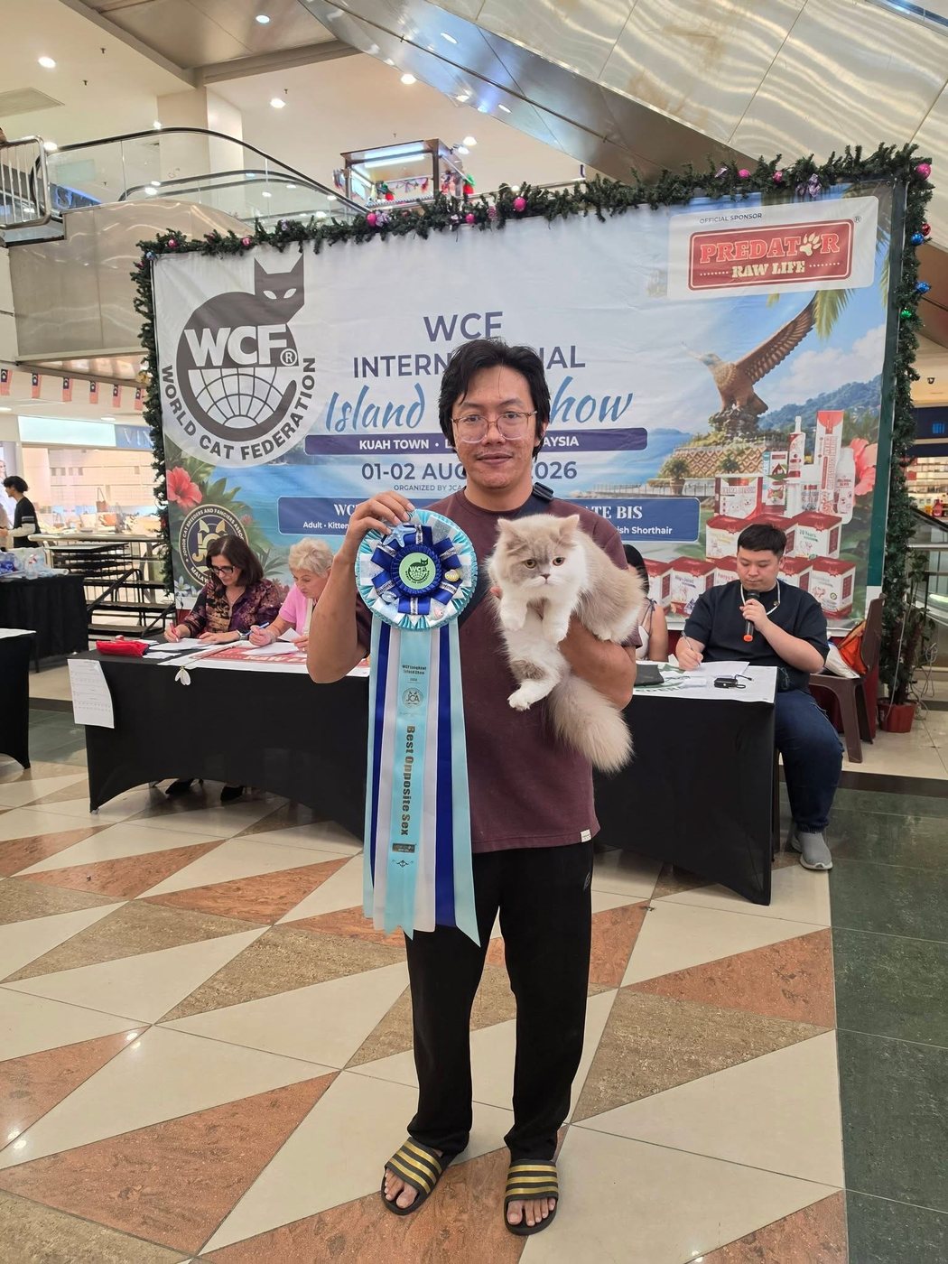 Holding a Best Opposite Sex rosette at the WCF Island Cat Show